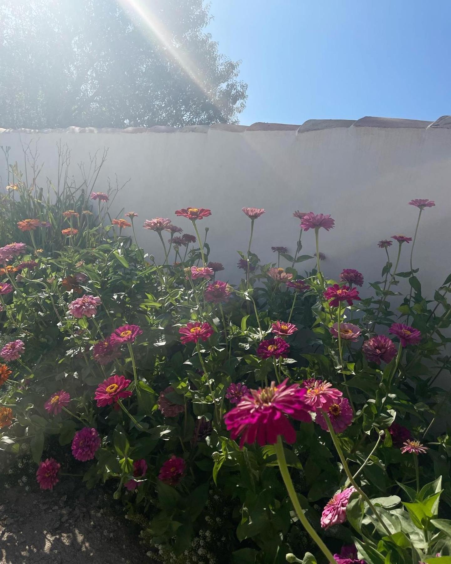 فيلا Cortijo El Prado L كاستريل المظهر الخارجي الصورة